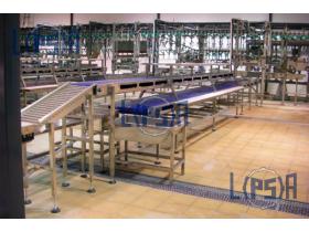 Конвейер фасовки полуфабрикатов птицы Lipsia