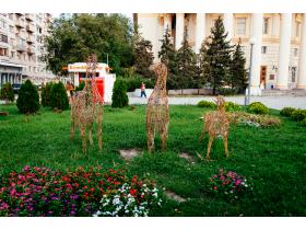Топиари