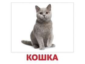 Набор карточек «Домашние Животные»