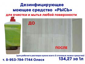 Дезинфицирующее моющее средство РЫСЬ