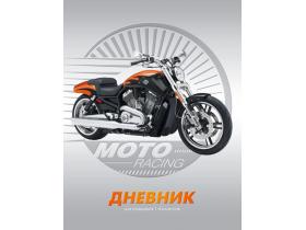 Школьные ученические дневники