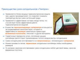 Автомобильная сумка-холодильник «Техник