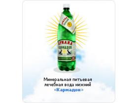 Минеральная питьевая вода «Кармадон»