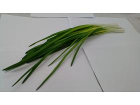 Лук свежий зеленый