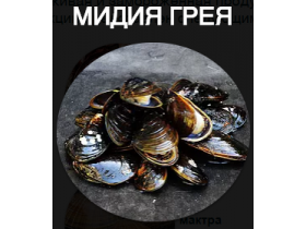 Мидия грея на вес