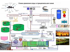 Замкнутые рыбоводные установки
