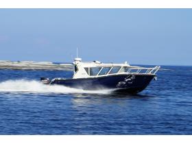 Глиссирующий катер TRIDENT Solo 900