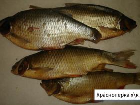 Рыба холодного копчения