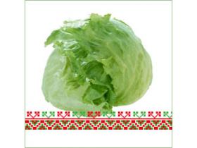 Салат Айсберг сорт Кампионас