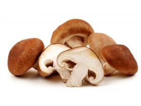 Шиитаке свежие на вес