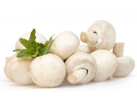 Шампиньоны свежие на вес