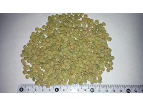 Чечевица тарелочная продовольственная ГОСТ