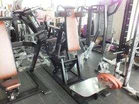 FPL-2300 ЖИМ НОГАМИ