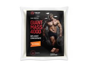 Сывороточный протеин Giant MASS 4000 80%
