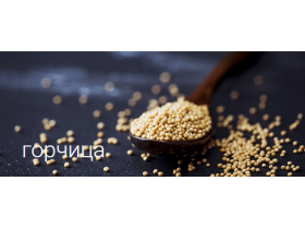 Зерно горчицы сарептской