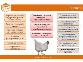 Кормовая смесь «НаБиКат» для птицы