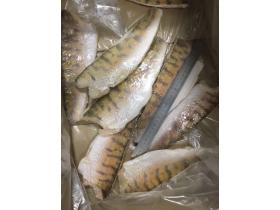 Филе Судака