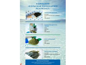 Бурые морские водоросли