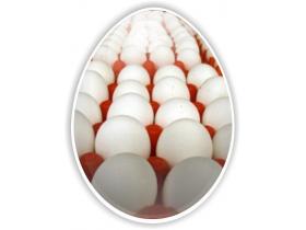Яйца куриные в упаковке