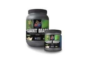 Гейнер Giant Mass 30%