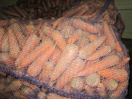 Морковь