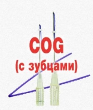 COG мезонити (с зубцами)