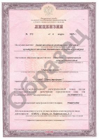 ЛИЦЕНЗИЯ НА ОПТОВУЮ ИЛИ РОЗНИЧНУЮ ПРОДАЖУ АЛКОГОЛЬНОЙ ПРОДУКЦИИ