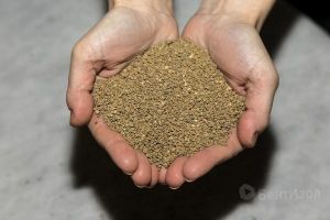 Бентонитовые гранулы BentoStandart