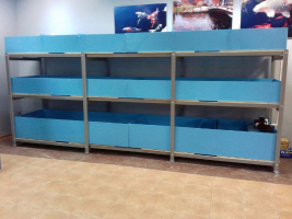 УЗВ для выращивания креветки Розенберга