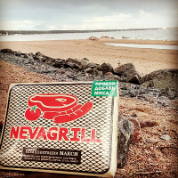 одноразовый гриль NEVAGRILL