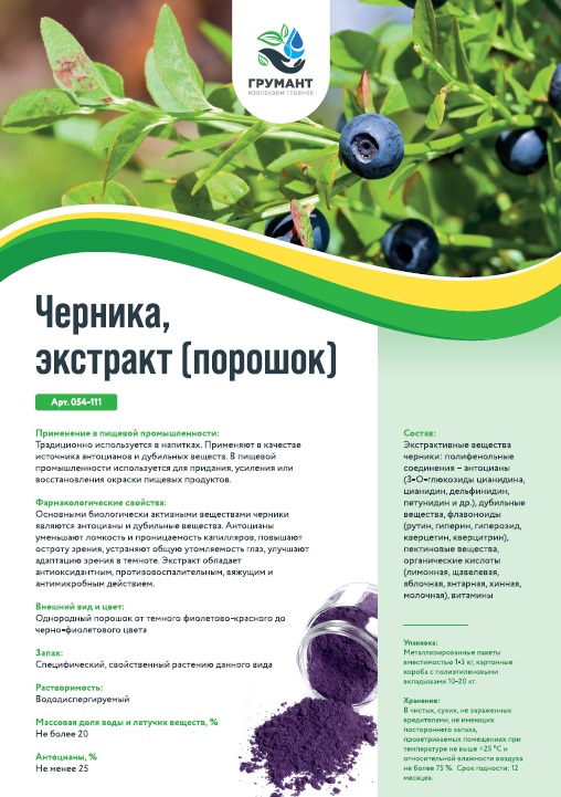 Черника экстракт